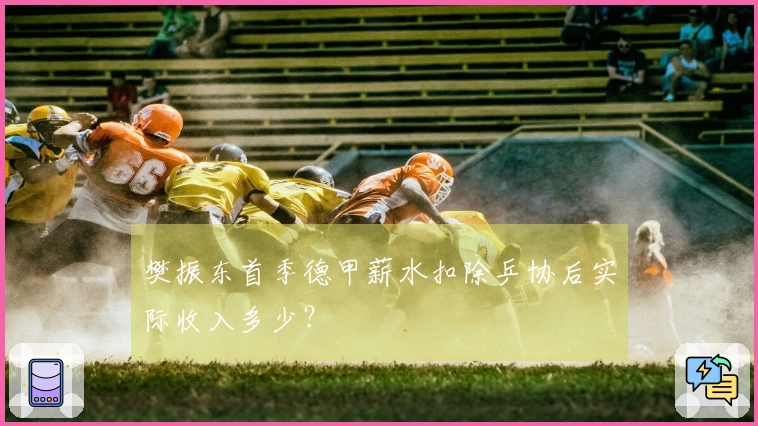 樊振东首季德甲薪水扣除乒协后实际收入多少？